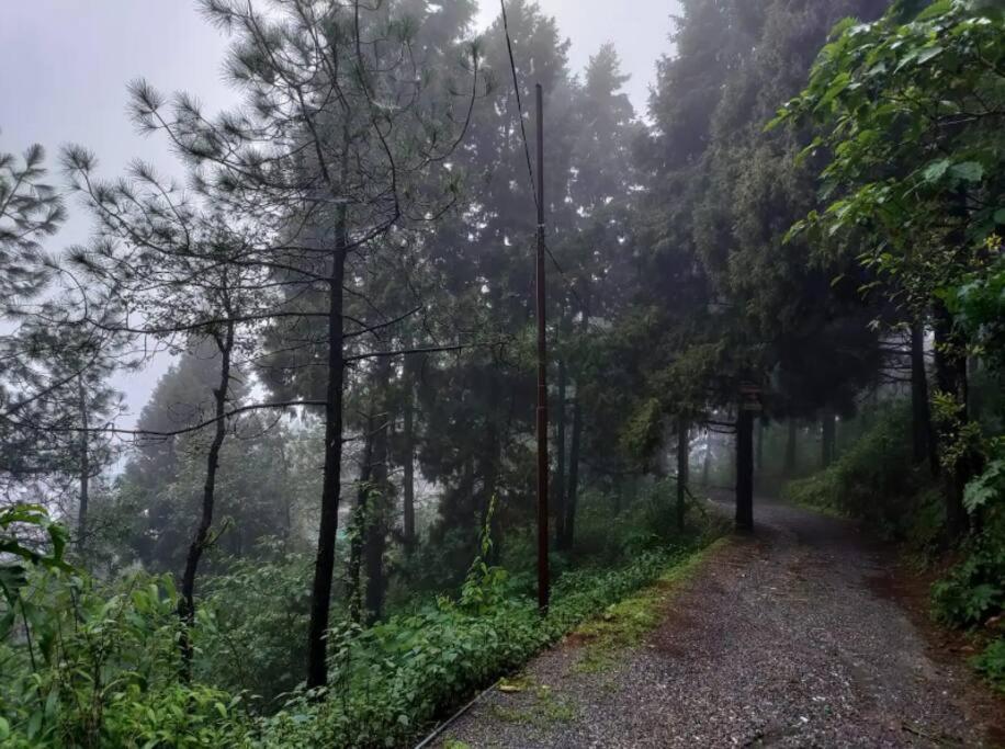 The Hill Story, Entire Chalet, Offbeat,Cozy Mussoorie Extérieur photo