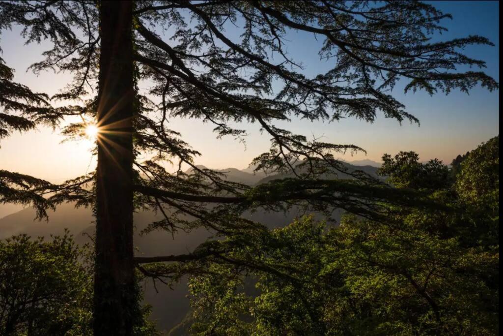 The Hill Story, Entire Chalet, Offbeat,Cozy Mussoorie Extérieur photo